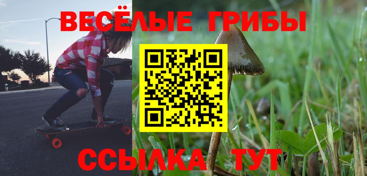 Псилоцибиновые грибы мицелий Прохладный